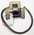 gs18270080.jpg