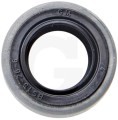 gs40271448.jpg