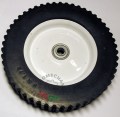 rs1 259