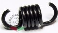 rs176 660
